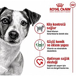Royal Canin Mini Adult Küçük Irk Köpek Maması 4 Kg + Temizlik Mendili - 4
