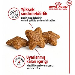 Royal Canin Mini Adult Küçük Irk Köpek Maması 4 Kg + Temizlik Mendili - 8