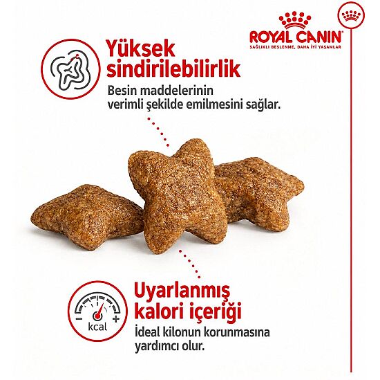 Royal Canin Mini Adult Küçük Irk Köpek Maması 4 Kg + Temizlik Mendili - 8