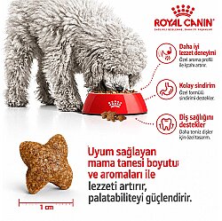 Royal Canin Mini Adult Küçük Irk Köpek Maması 4 Kg + Temizlik Mendili - 9