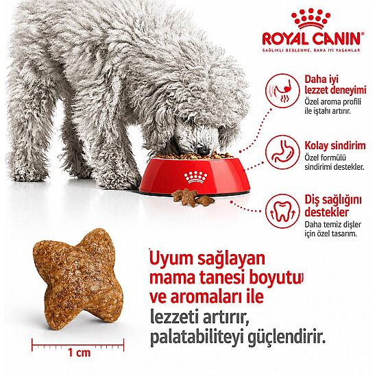 Royal Canin Mini Adult Küçük Irk Köpek Maması 4 Kg + Temizlik Mendili - 9