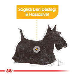 Royal Canin Mini Dermacomfort Küçük Irk Hassas Köpek Maması 3 Kg + Wanpy Creamy Treat 5x14 Gr - Thumbnail