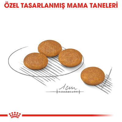 Royal Canin Mini Dermacomfort Küçük Irk Hassas Köpek Maması 3 Kg + Wanpy Creamy Treat 5x14 Gr