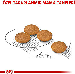 Royal Canin Mini Dermacomfort Küçük Irk Hassas Köpek Maması 3 Kg + Temizlik Mendili - 4