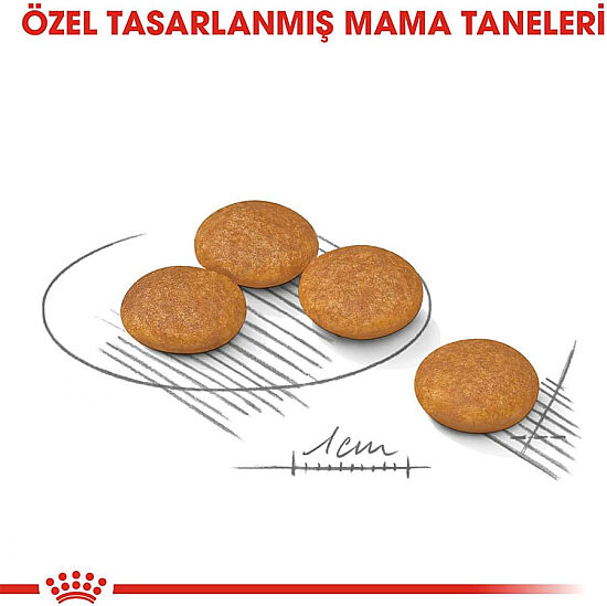 Royal Canin Mini Dermacomfort Küçük Irk Hassas Köpek Maması 3 Kg + Temizlik Mendili - 4