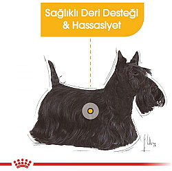 Royal Canin Mini Dermacomfort Küçük Irk Hassas Köpek Maması 3 Kg + Temizlik Mendili - 5