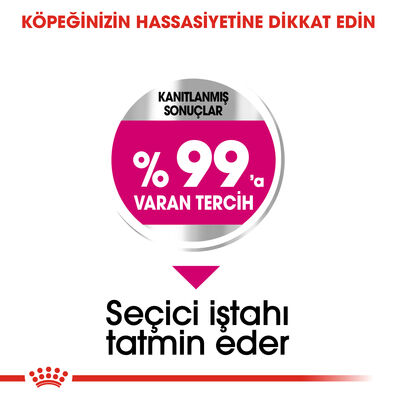 Royal Canin Mini Exigent Küçük Irk Köpek Maması 3 Kg + Temizlik Mendili - 4