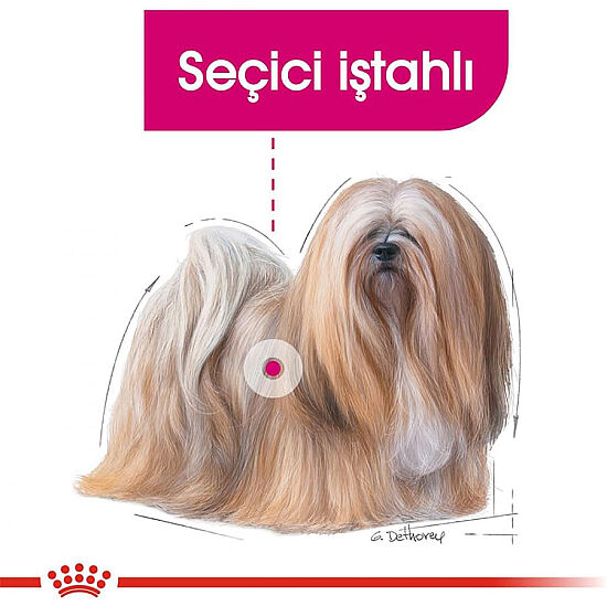Royal Canin Mini Exigent Küçük Irk Köpek Maması 3 Kg + Temizlik Mendili - 4