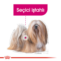 Royal Canin Mini Exigent Küçük Irk Köpek Maması 3 Kg + 2 Adet Temizlik Mendili - Thumbnail