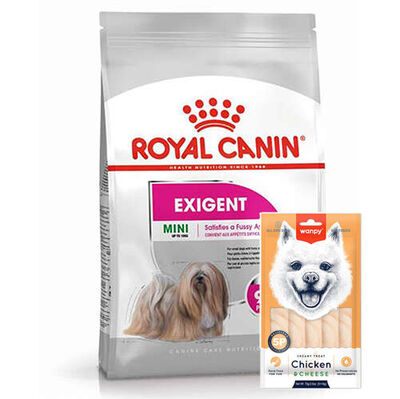 Royal Canin Mini Exigent Küçük Irk Köpek Maması 3 Kg + Wanpy Creamy Treat 5x14 Gr