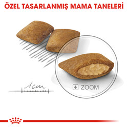 Royal Canin Mini Exigent Küçük Irk Köpek Maması 3 Kg x 2 Adet + Temizlik Mendili - Thumbnail