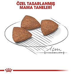 Royal Canin Mini Indoor Adult Yetişkin Köpek Maması 1,5 Kg + Temizlik Mendili - 3