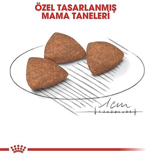 Royal Canin Mini Indoor Adult Yetişkin Köpek Maması 1,5 Kg + Temizlik Mendili - 3