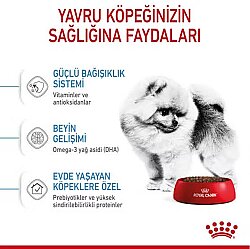 Royal Canin Mini Indoor Puppy Yavru Köpek Maması 1,5 Kg + Royal Canin Yavru Köpek Ödülü - 4