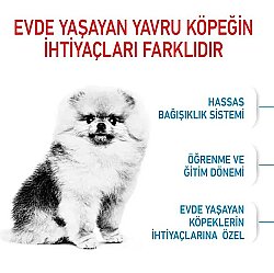 Royal Canin Mini Indoor Puppy Yavru Köpek Maması 1,5 Kg + Royal Canin Yavru Köpek Ödülü - 5