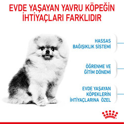 Royal Canin Mini Indoor Puppy Yavru Köpek Maması 1,5 Kg - Thumbnail