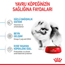 Royal Canin Mini Indoor Puppy Yavru Köpek Maması 1,5 Kg + Bez Çanta - Thumbnail