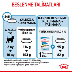 Royal Canin Mini Indoor Puppy Yavru Köpek Maması 1,5 Kg + Bez Çanta - Thumbnail