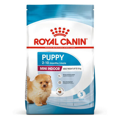 Royal Canin Mini Indoor Puppy Yavru Köpek Maması 1,5 Kg + Bez Çanta