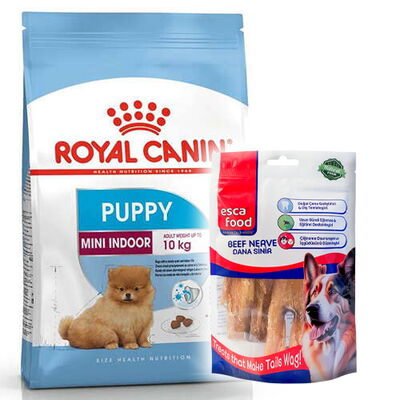 Royal Canin Mini Indoor Puppy Yavru Köpek Maması 1,5 Kg + Esca Food Köpek Ödülü