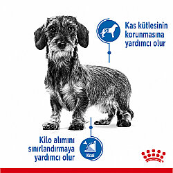 Royal Canin Mini Light Küçük Irk Diyet Köpek Maması 3 Kg + Temizlik Mendili - 3