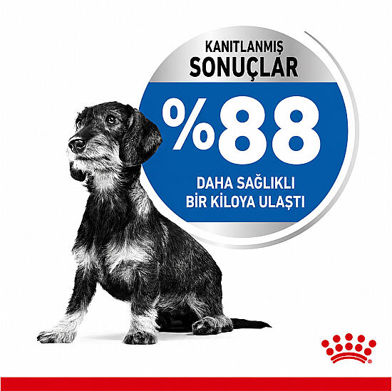 Royal Canin Mini Light Küçük Irk Diyet Köpek Maması 3 Kg + Temizlik Mendili - 5