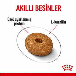 Royal Canin Mini Light Küçük Irk Diyet Köpek Maması 3 Kg + Temizlik Mendili - 4