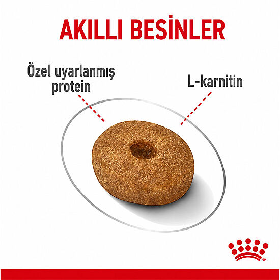 Royal Canin Mini Light Küçük Irk Diyet Köpek Maması 3 Kg + Temizlik Mendili - 4
