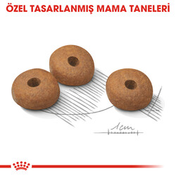 Royal Canin Mini Light Küçük Irk Diyet Köpek Maması 3 Kg x 2 Adet - Thumbnail