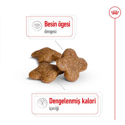 Royal Canin Mini Adult +8 Küçük Irk Yaşlı Köpek Maması 2 Kg + Temizlik Mendili - 6