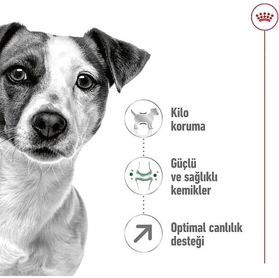 Royal Canin Mini Adult +8 Küçük Irk Yaşlı Köpek Maması 2 Kg + Temizlik Mendili - 2