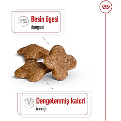 Royal Canin Mini Adult +8 Küçük Irk Yaşlı Köpek Maması 2 Kg + Temizlik Mendili - 4