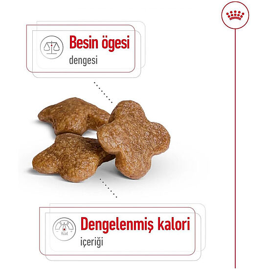 Royal Canin Mini Adult +8 Küçük Irk Yaşlı Köpek Maması 2 Kg + Temizlik Mendili - 4