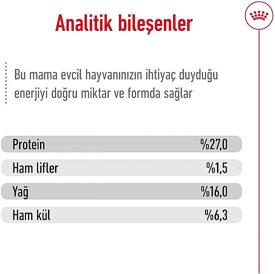 Royal Canin Mini Adult +8 Küçük Irk Yaşlı Köpek Maması 2 Kg + Temizlik Mendili - 5