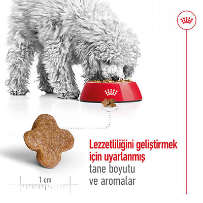 Royal Canin Mini Adult +8 Küçük Irk Yaşlı Köpek Maması 2 Kg x 2 Adet + Temizlik Mendili - 7