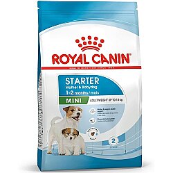 Royal Canin Mini Starter Küçük Irk Anne ve Yavru Köpek Maması 1 Kg + Temizlik Mendili - Royal Canin