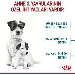 Royal Canin Mini Starter Küçük Irk Anne ve Yavru Köpek Maması 1 Kg + Royal Canin Yavru Köpek Ödülü - 4