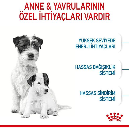 Royal Canin Mini Starter Küçük Irk Anne ve Yavru Köpek Maması 1 Kg + Royal Canin Yavru Köpek Ödülü - 4