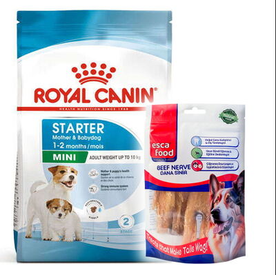 Royal Canin Mini Starter Küçük Irk Anne ve Yavru Köpek Maması 4 Kg + Esca Food Köpek Ödülü