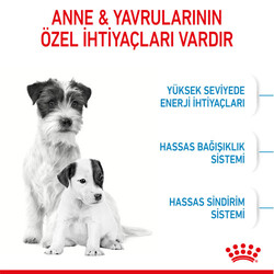 Royal Canin Mini Starter Küçük Irk Anne ve Yavru Köpek Maması 4 Kg + Mama Saklama Kovası - Thumbnail