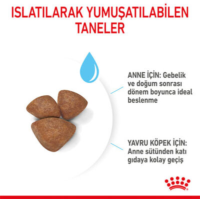 Royal Canin Mini Starter Küçük Irk Anne ve Yavru Köpek Maması 4 Kg + Bez Çanta