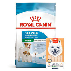 Royal Canin - Royal Canin Mini Starter Küçük Irk Anne ve Yavru Köpek Maması 4 Kg + Wanpy Creamy Treat 5x14 Gr