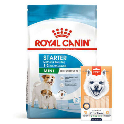 Royal Canin Mini Starter Küçük Irk Anne ve Yavru Köpek Maması 4 Kg + Wanpy Creamy Treat 5x14 Gr