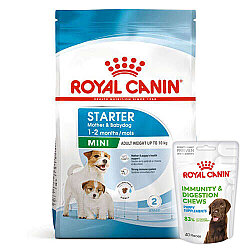 Royal Canin Mini Starter Küçük Irk Anne ve Yavru Köpek Maması 4 Kg + Royal Canin Yavru Köpek Ödülü - Royal Canin