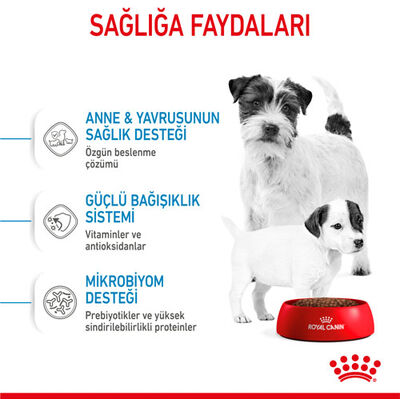 Royal Canin Mini Starter Küçük Irk Anne ve Yavru Köpek Maması 4 Kg + Temizlik Mendili - 5