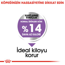 Royal Canin Mini Sterilised Küçük Irk Kısırlaştırılmış Köpek Maması 3 Kg + Esca Food Köpek Ödülü - Thumbnail