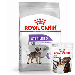 Royal Canin Mini Sterilised Küçük Irk Kısırlaştırılmış Köpek Maması 3 Kg + Royal Canin Köpek Ödülü - Royal Canin