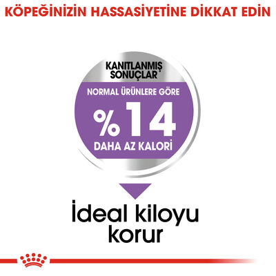 Royal Canin Mini Sterilised Küçük Irk Kısırlaştırılmış Köpek Maması 3 Kg + Temizlik Mendili