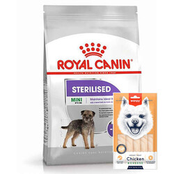 Royal Canin - Royal Canin Mini Sterilised Küçük Irk Kısırlaştırılmış Köpek Maması 3 Kg + Wanpy Creamy Treat 5x14 Gr