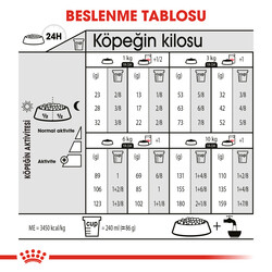 Royal Canin Mini Sterilised Küçük Irk Kısırlaştırılmış Köpek Maması 3 Kg x 2 Adet + Temizlik Mendili - 6